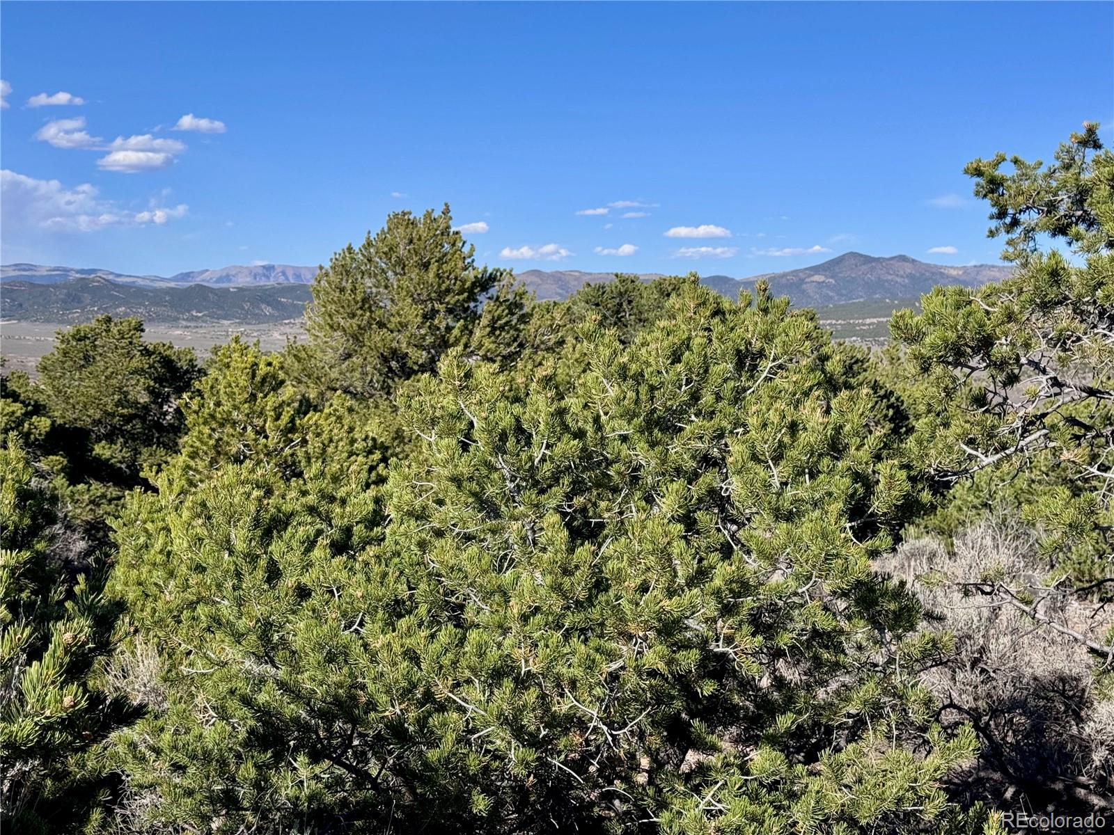 Lot 3292 Geneen Road Fort Garland CO 81133