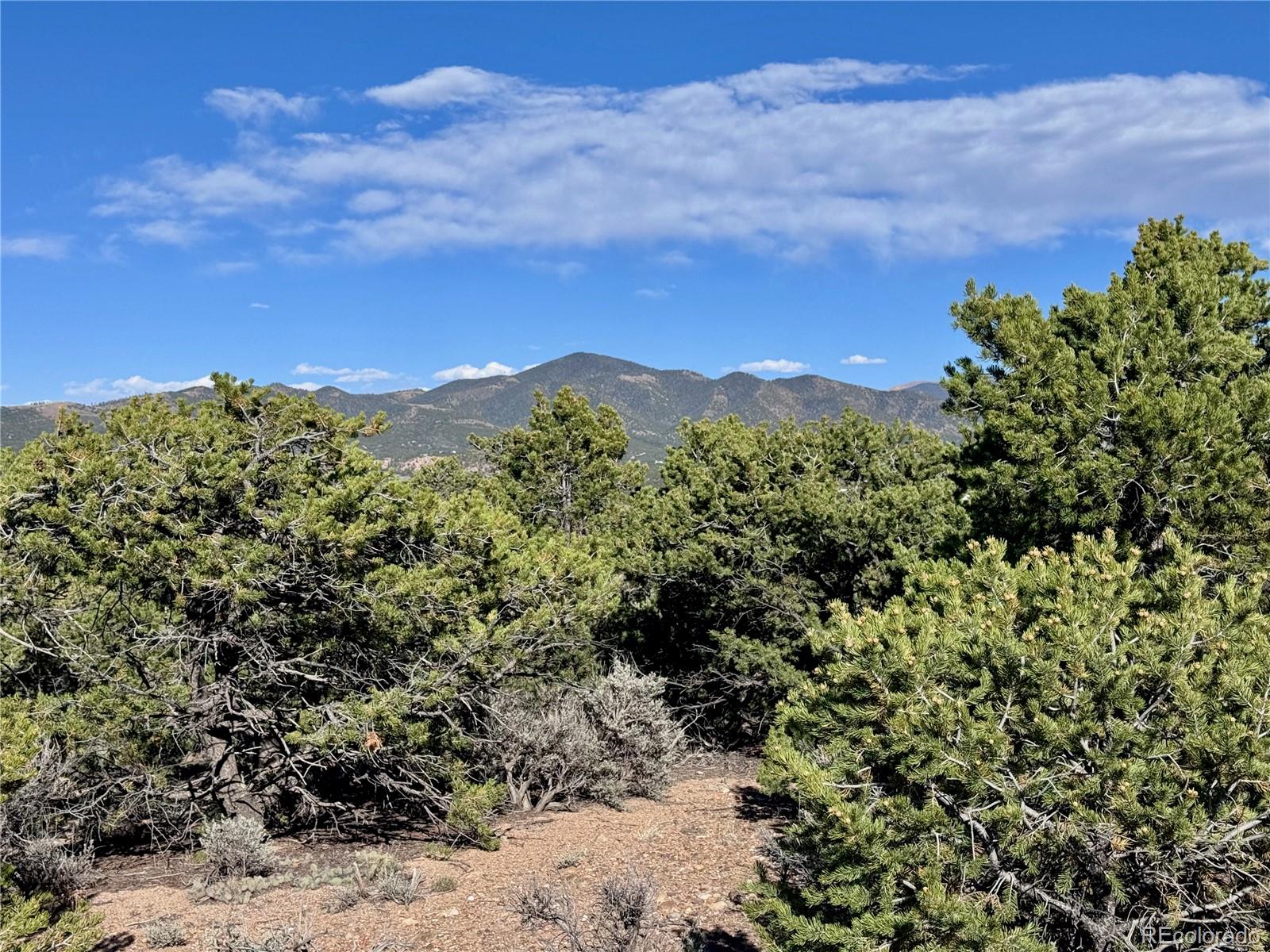 Lot 3292 Geneen Road Fort Garland CO 81133