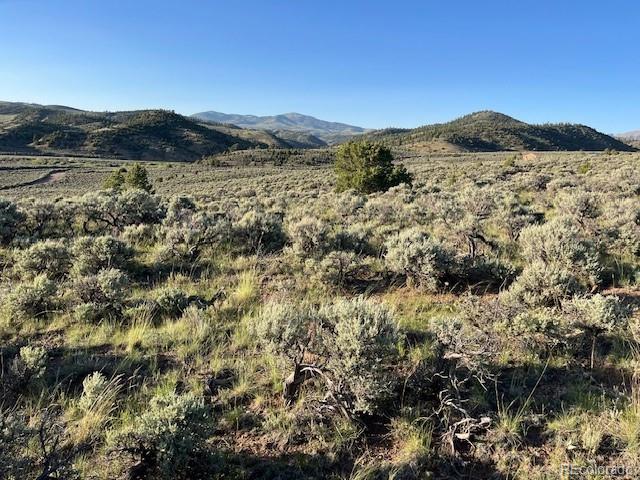 Lot 4763 Spencer Road Fort Garland CO 81133
