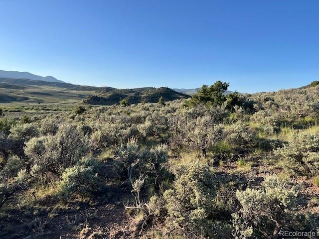Lot 4763 Spencer Road Fort Garland CO 81133