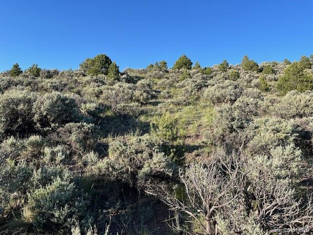 Lot 4763 Spencer Road Fort Garland CO 81133