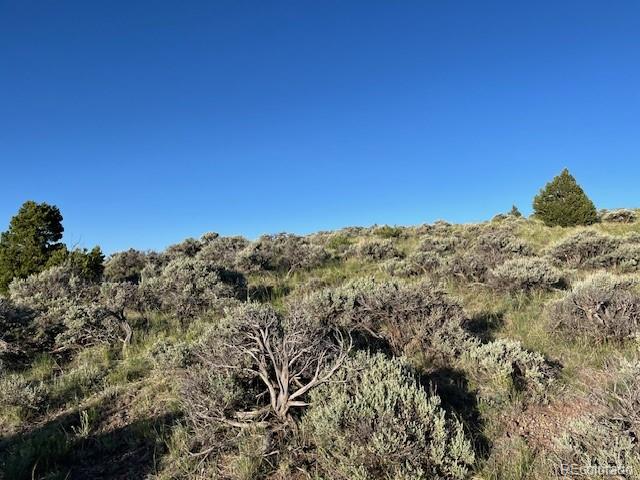 Lot 4763 Spencer Road Fort Garland CO 81133