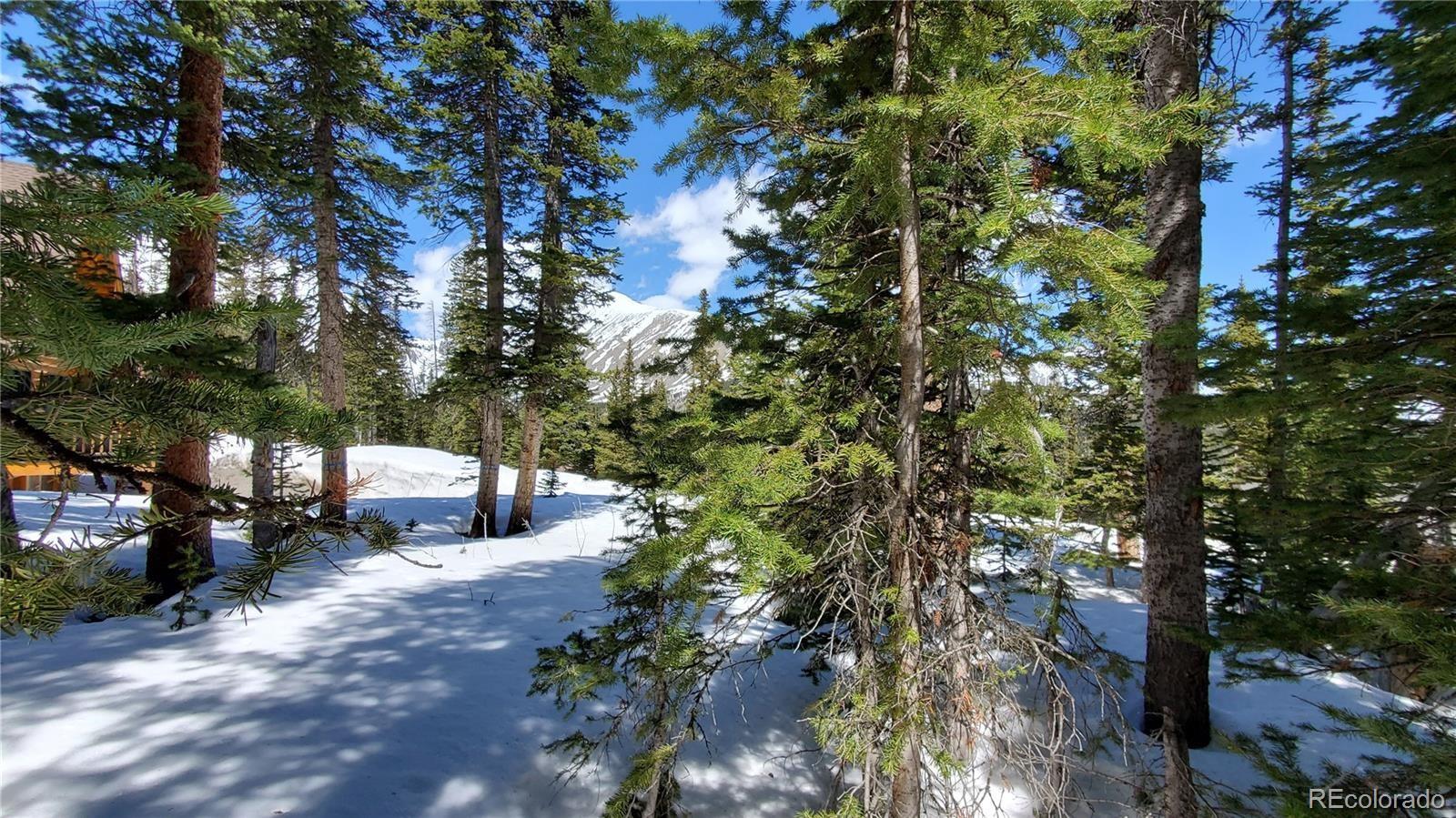 107 Hamilton Lane Breckenridge CO 80424