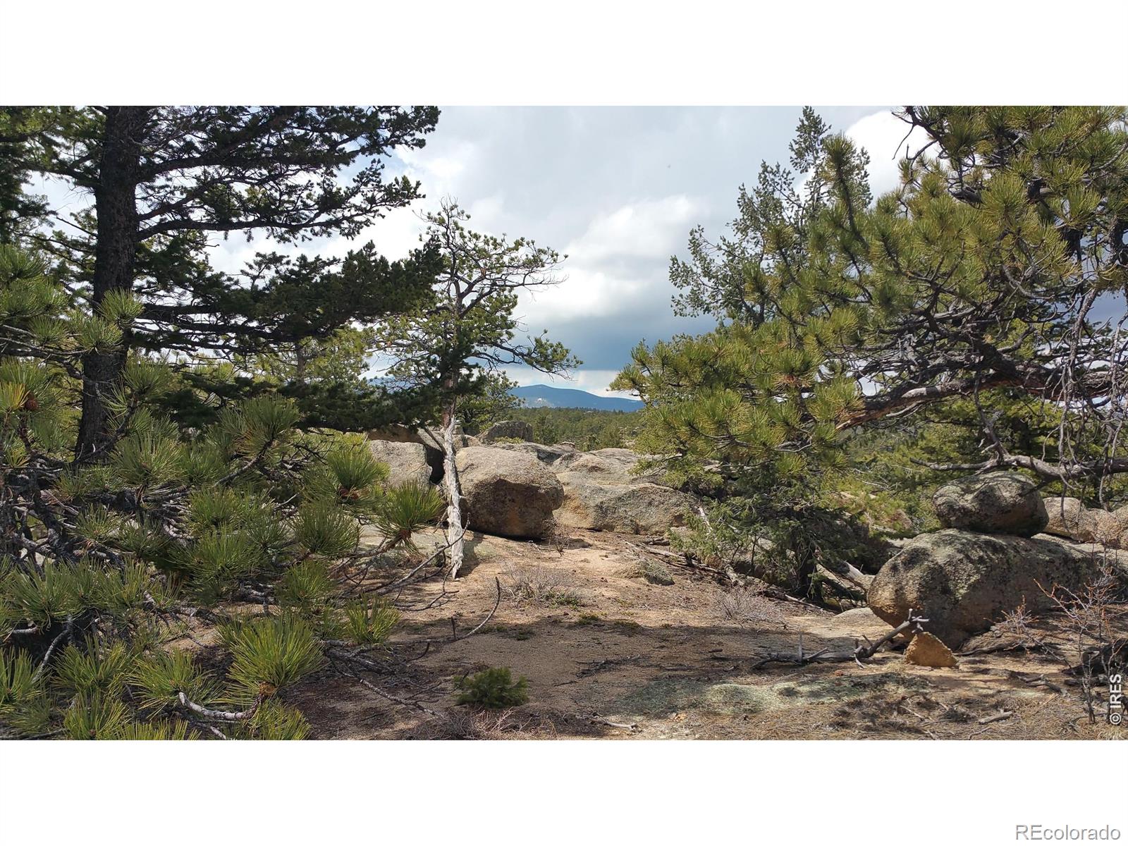 2928 Fox Acres Drive E Red Feather Lakes CO 80545