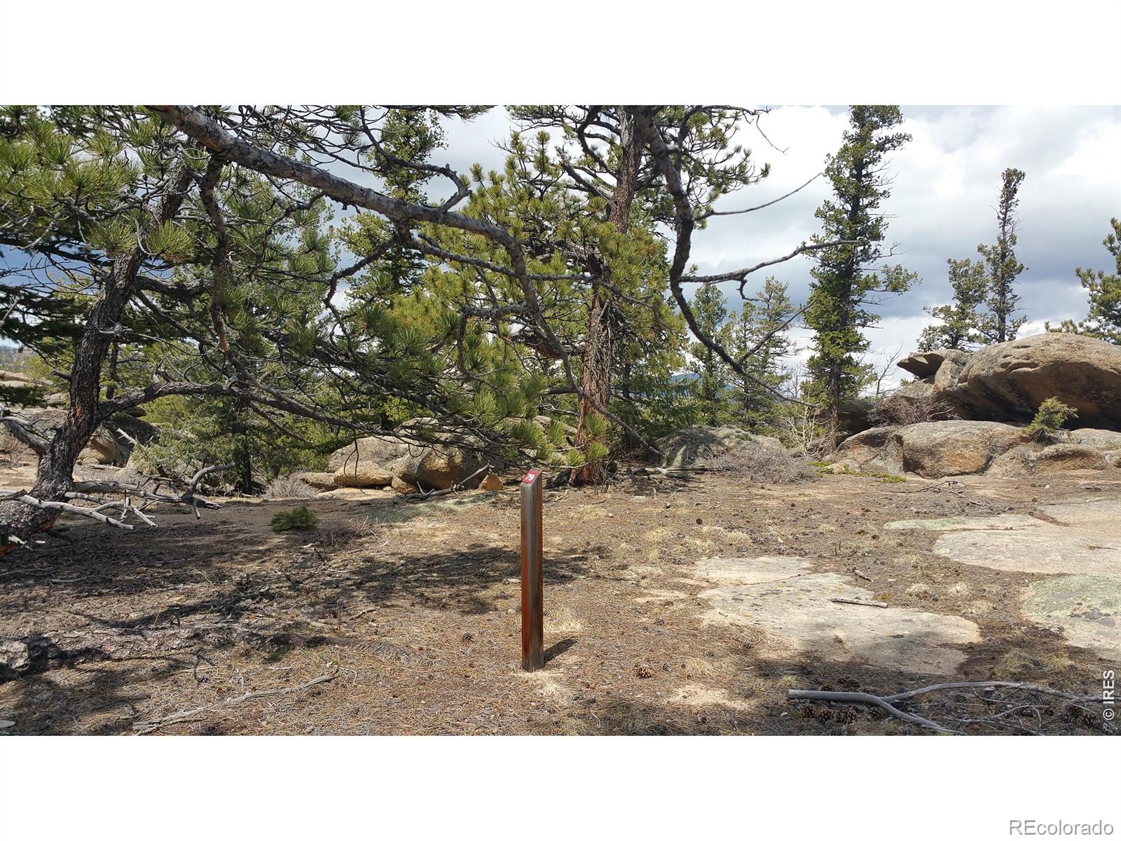 2928 Fox Acres Drive E Red Feather Lakes CO 80545