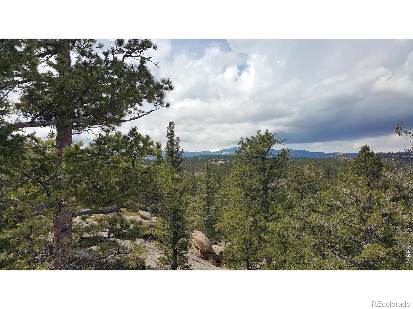 2928 Fox Acres Drive E Red Feather Lakes CO 80545