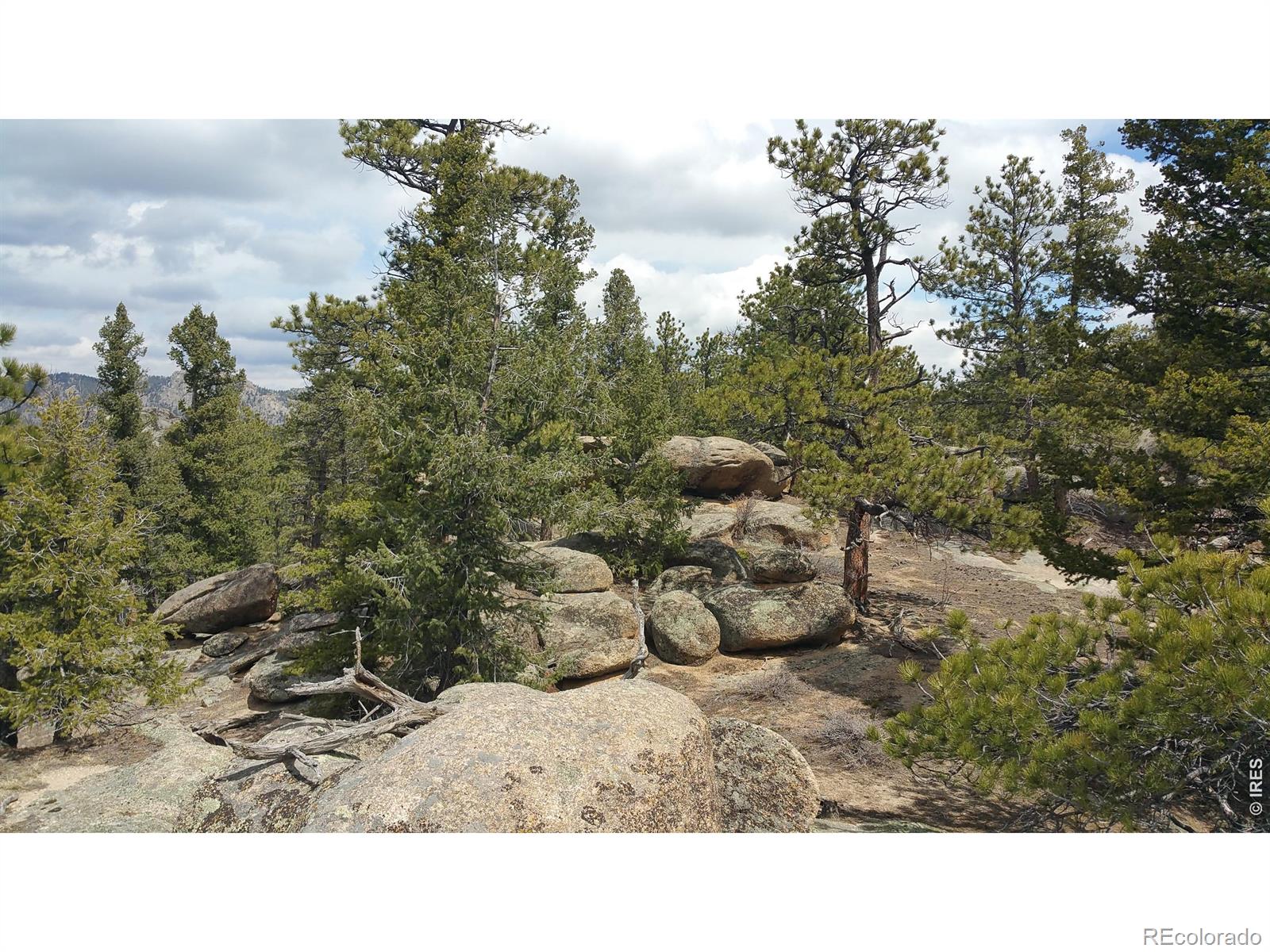 2928 Fox Acres Drive E Red Feather Lakes CO 80545