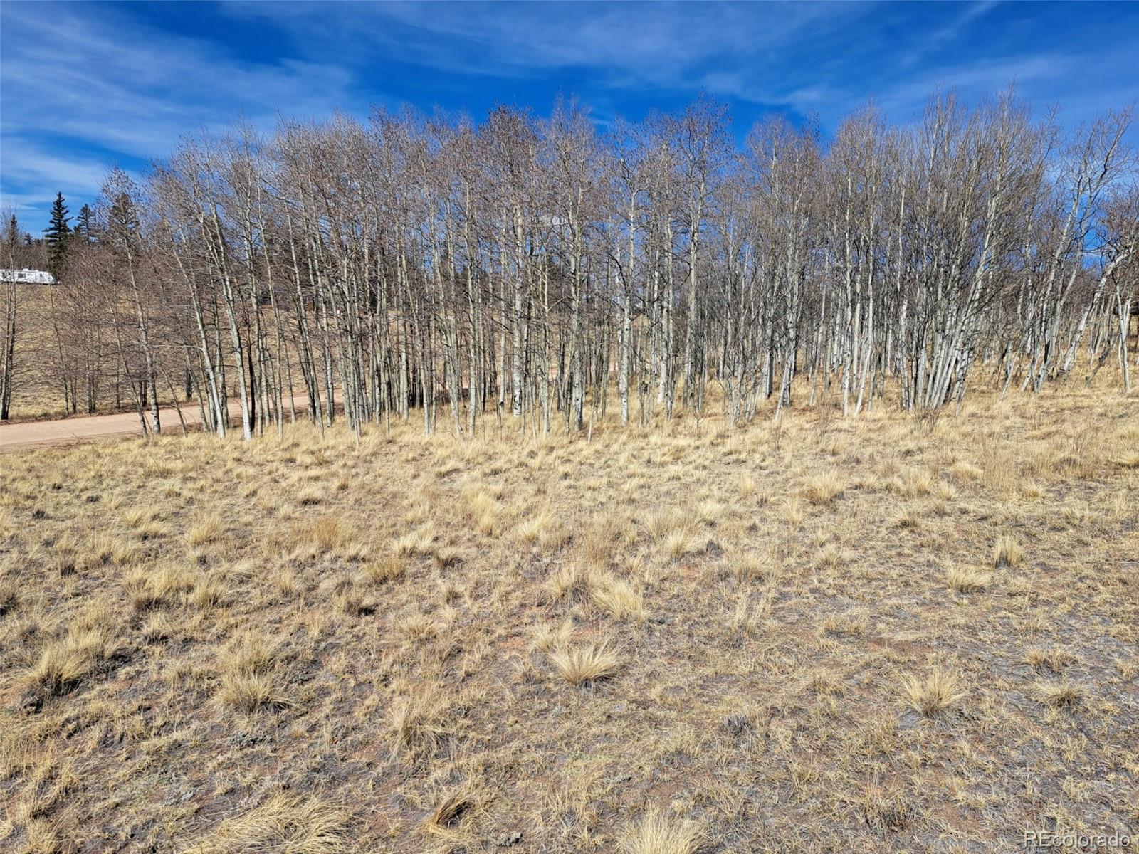 593 Pinto Trail Como CO 80432