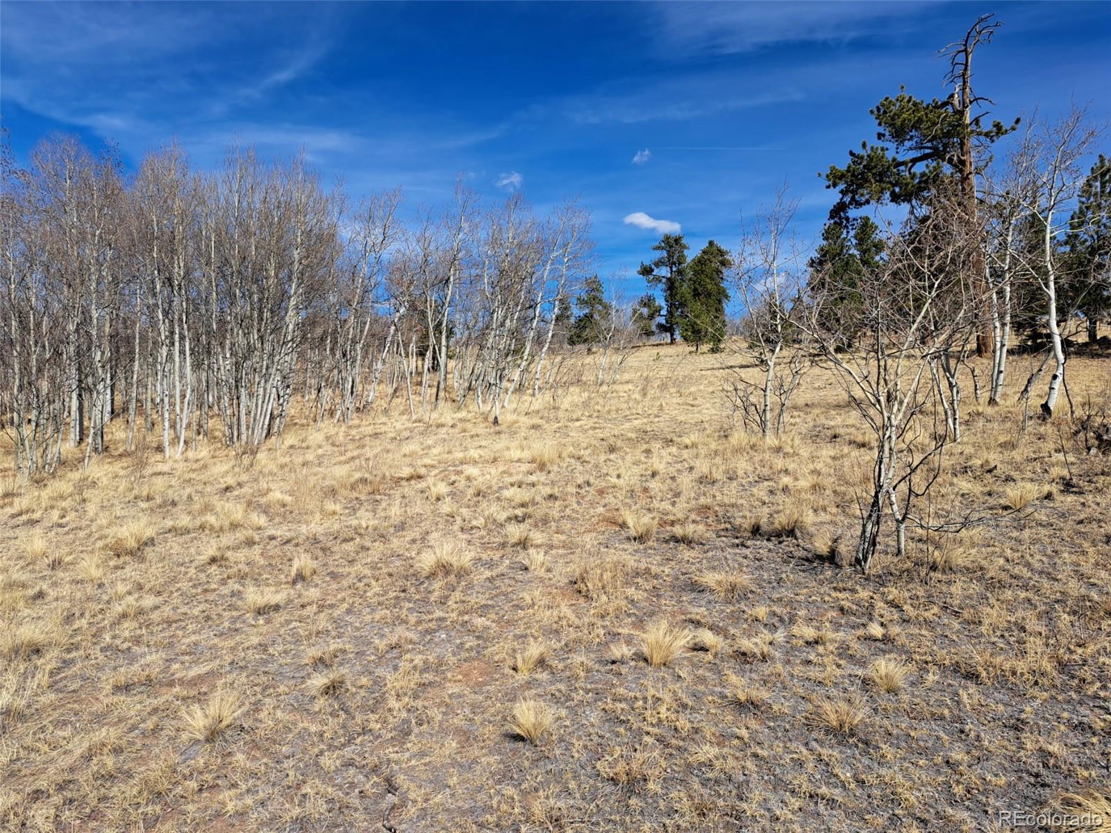 593 Pinto Trail Como CO 80432