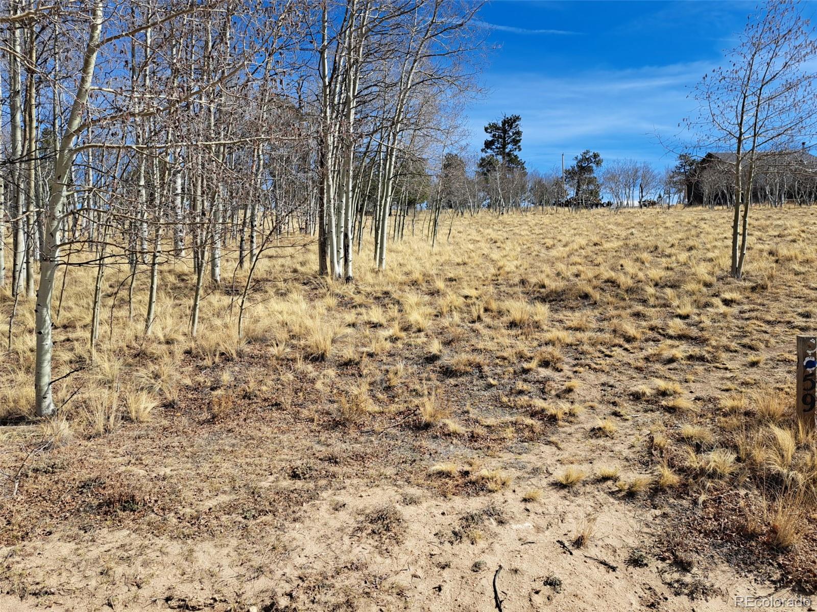593 Pinto Trail Como CO 80432