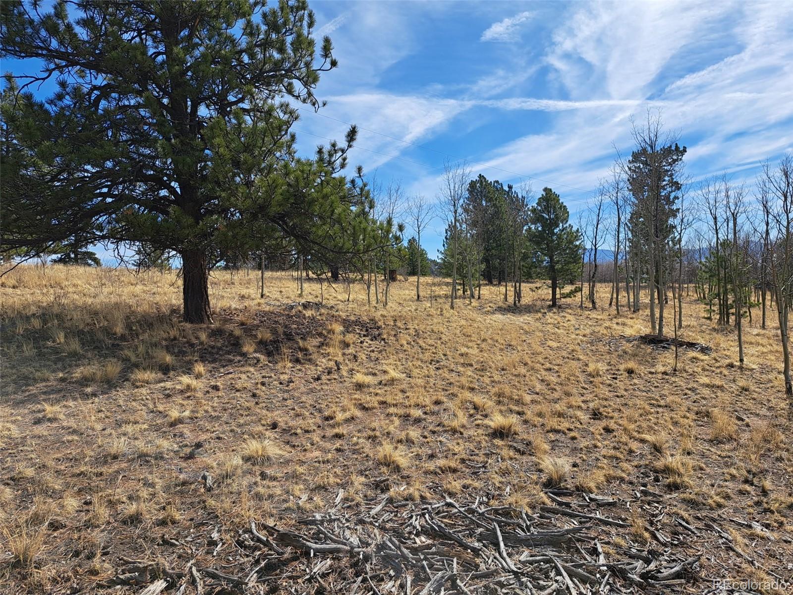 593 Pinto Trail Como CO 80432
