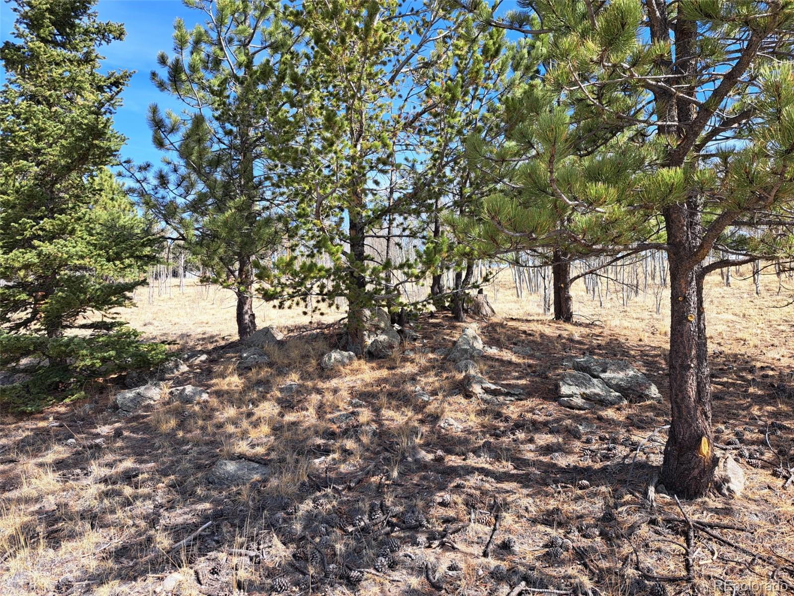 593 Pinto Trail Como CO 80432