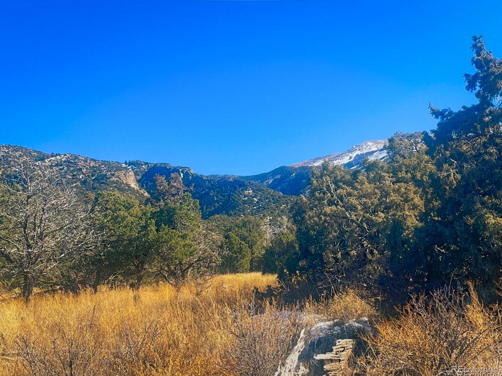 121 Cedar Ridge Road Mosca CO 81146