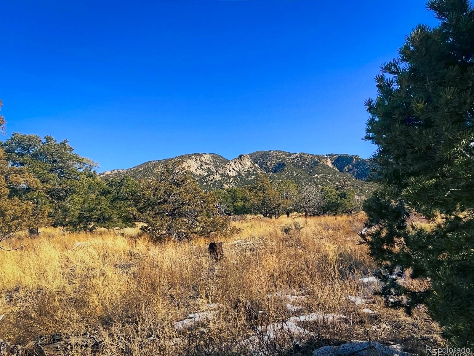 121 Cedar Ridge Road Mosca CO 81146