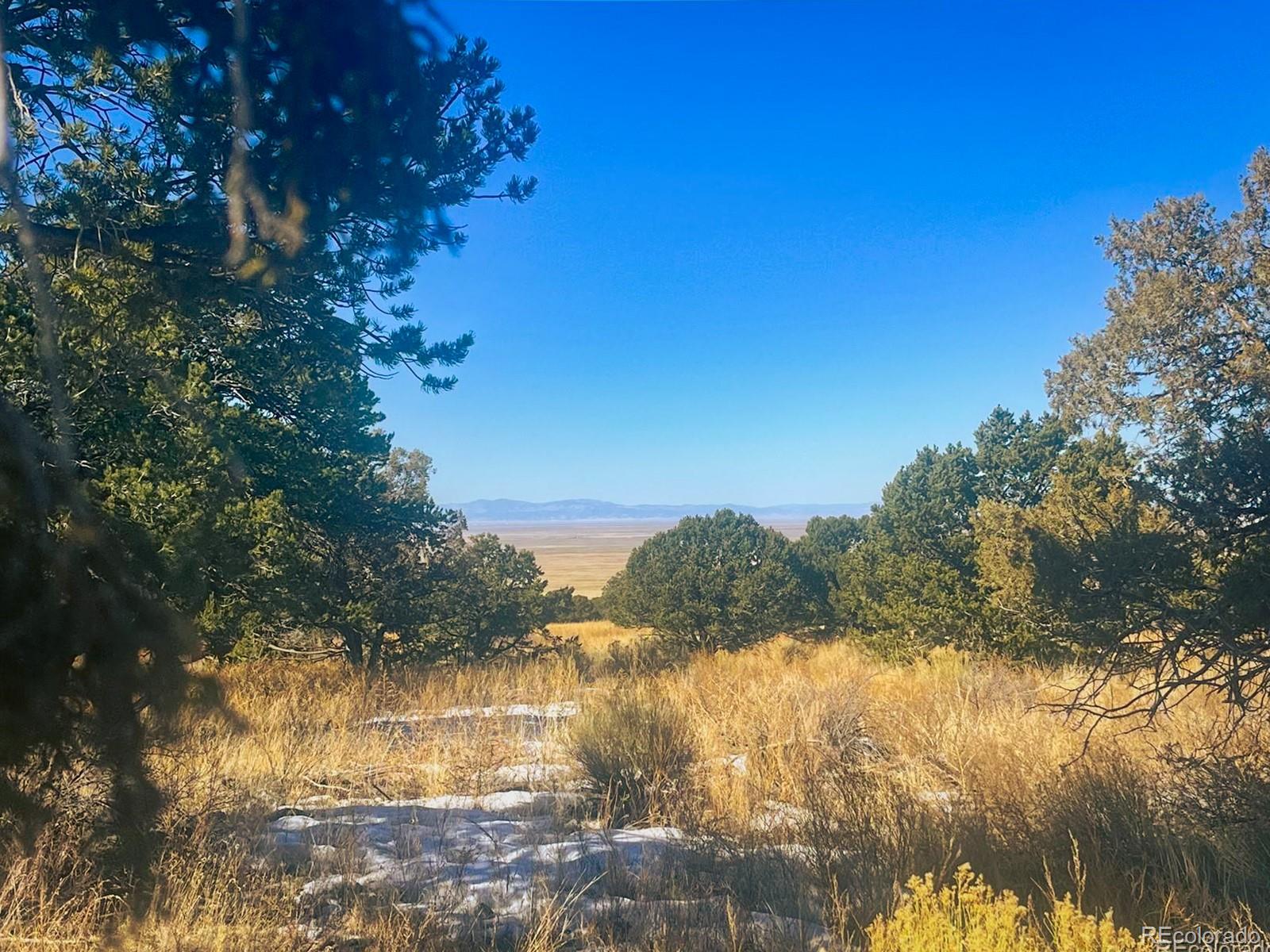 121 Cedar Ridge Road Mosca CO 81146