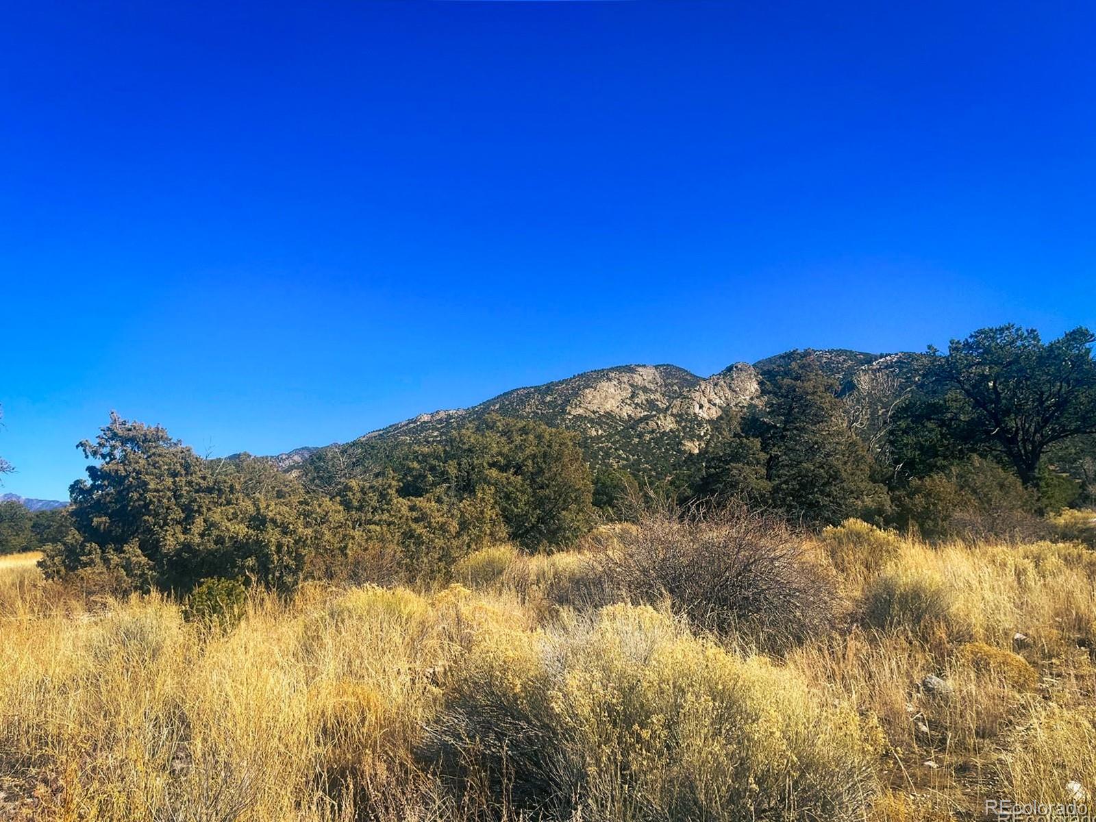 121 Cedar Ridge Road Mosca CO 81146
