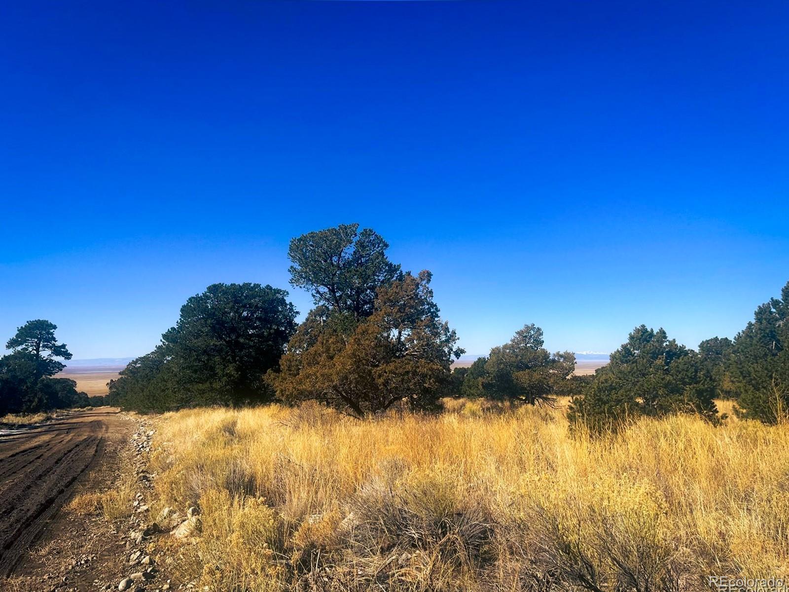 121 Cedar Ridge Road Mosca CO 81146