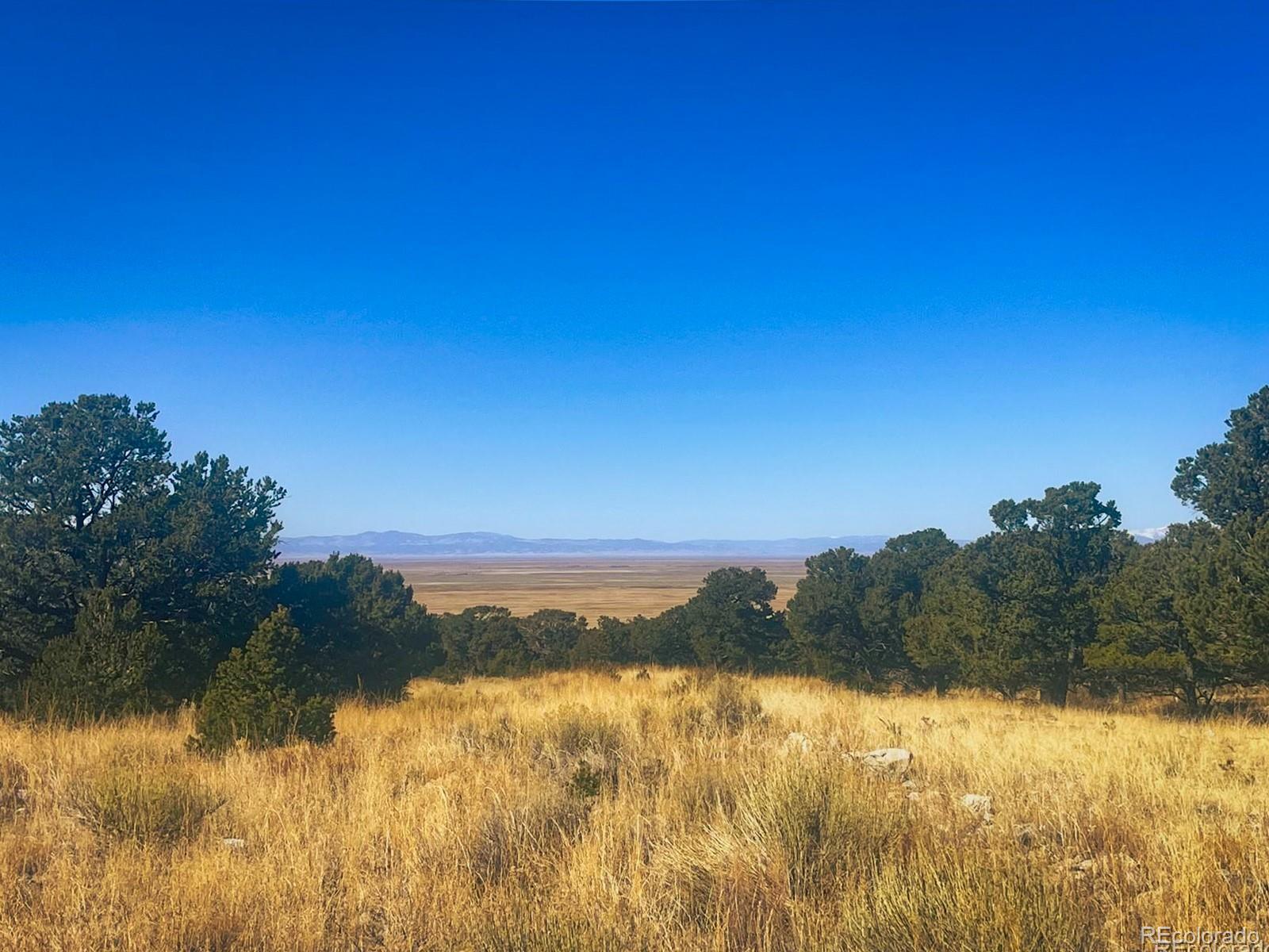 121 Cedar Ridge Road Mosca CO 81146