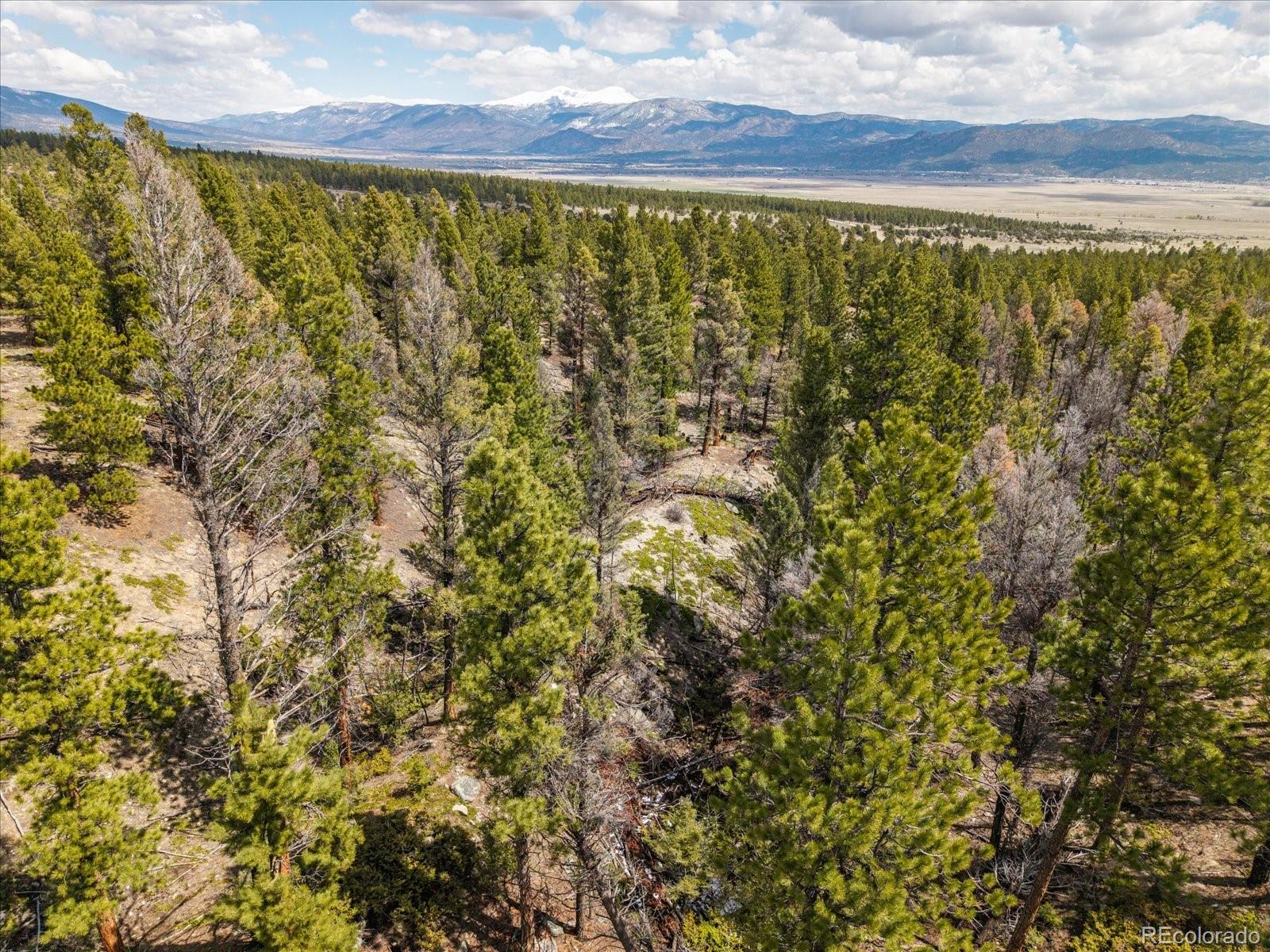 24900 County Road 339 Buena Vista CO 81211