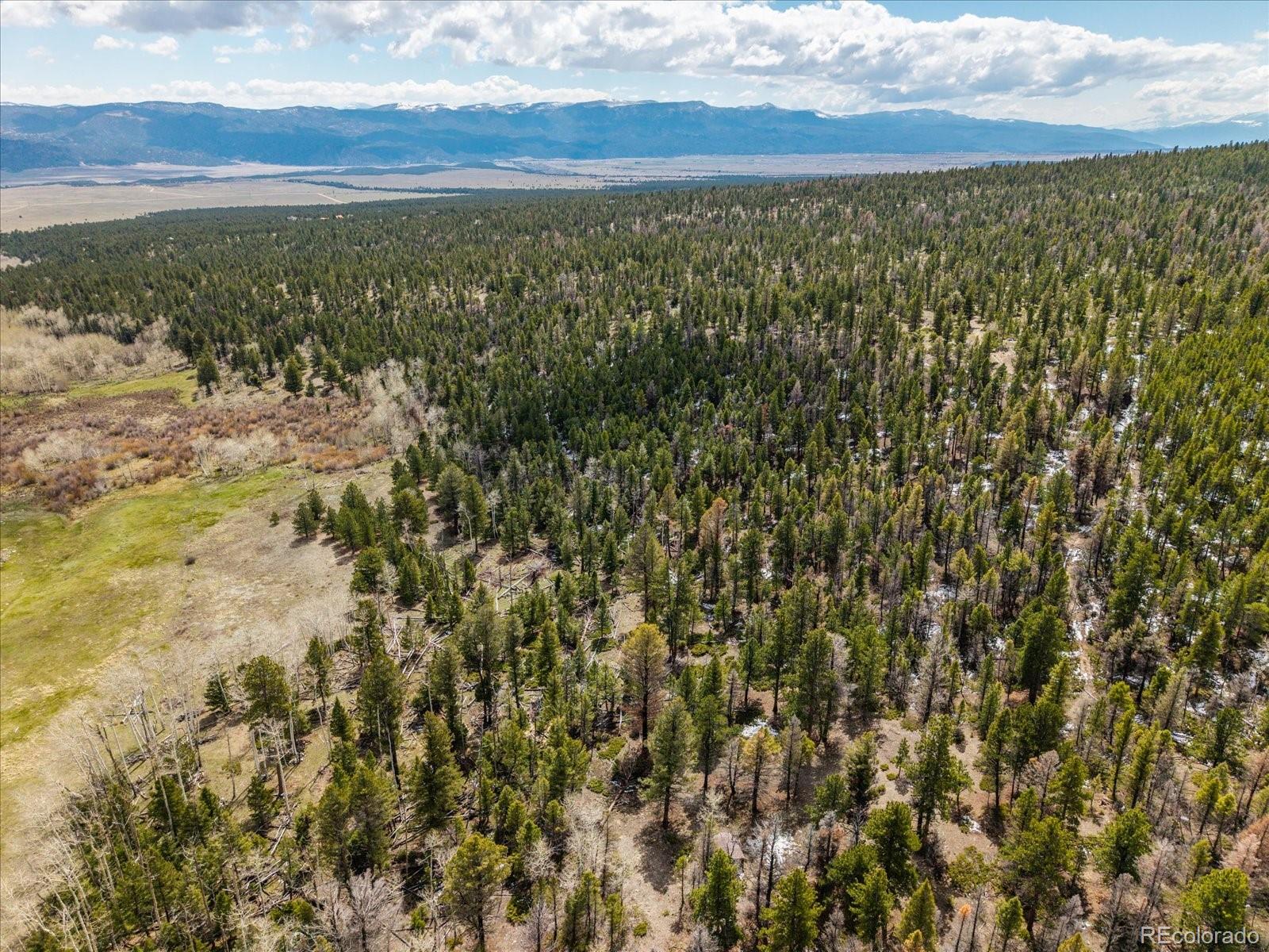 24900 County Road 339 Buena Vista CO 81211