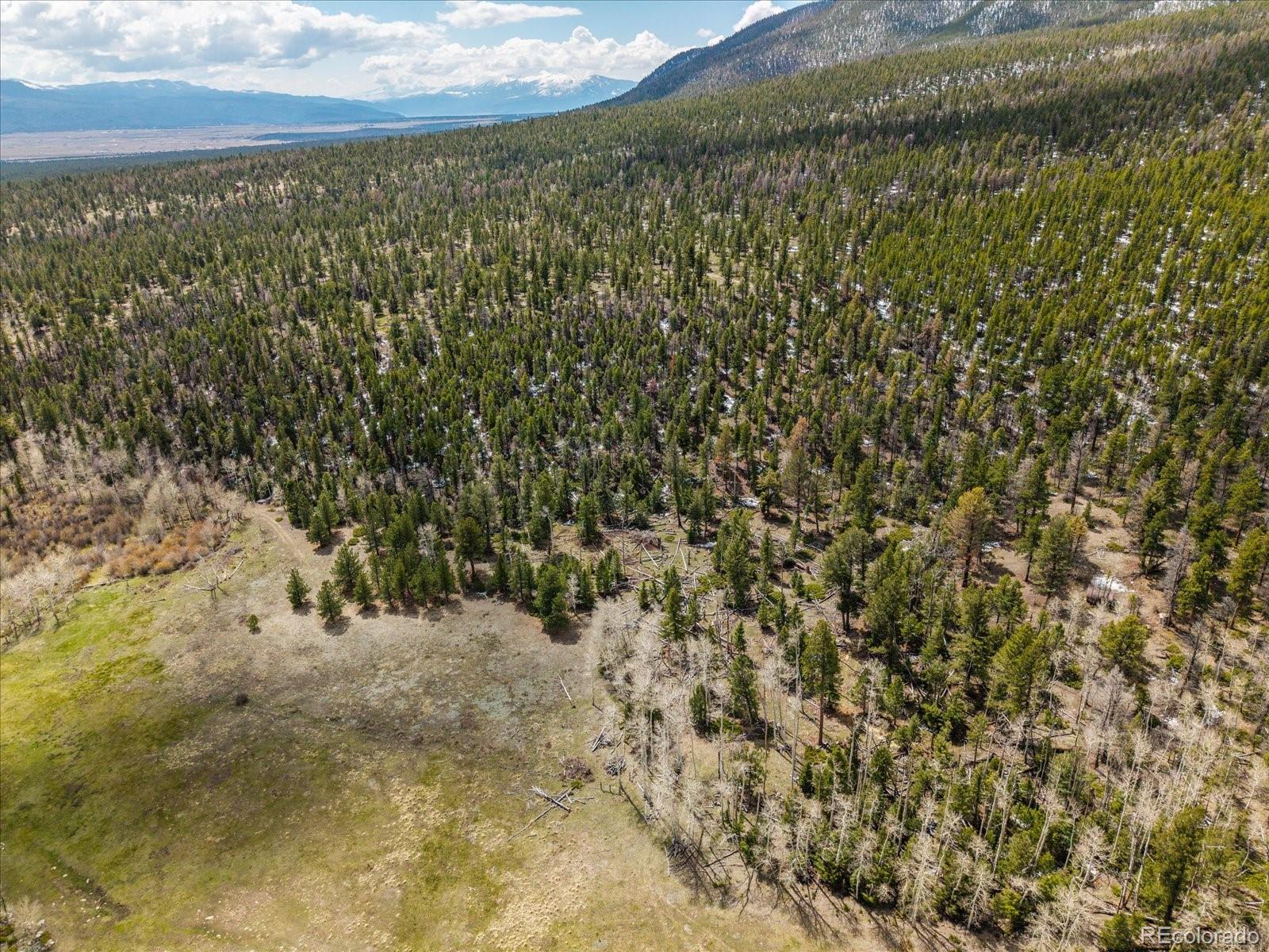 24900 County Road 339 Buena Vista CO 81211
