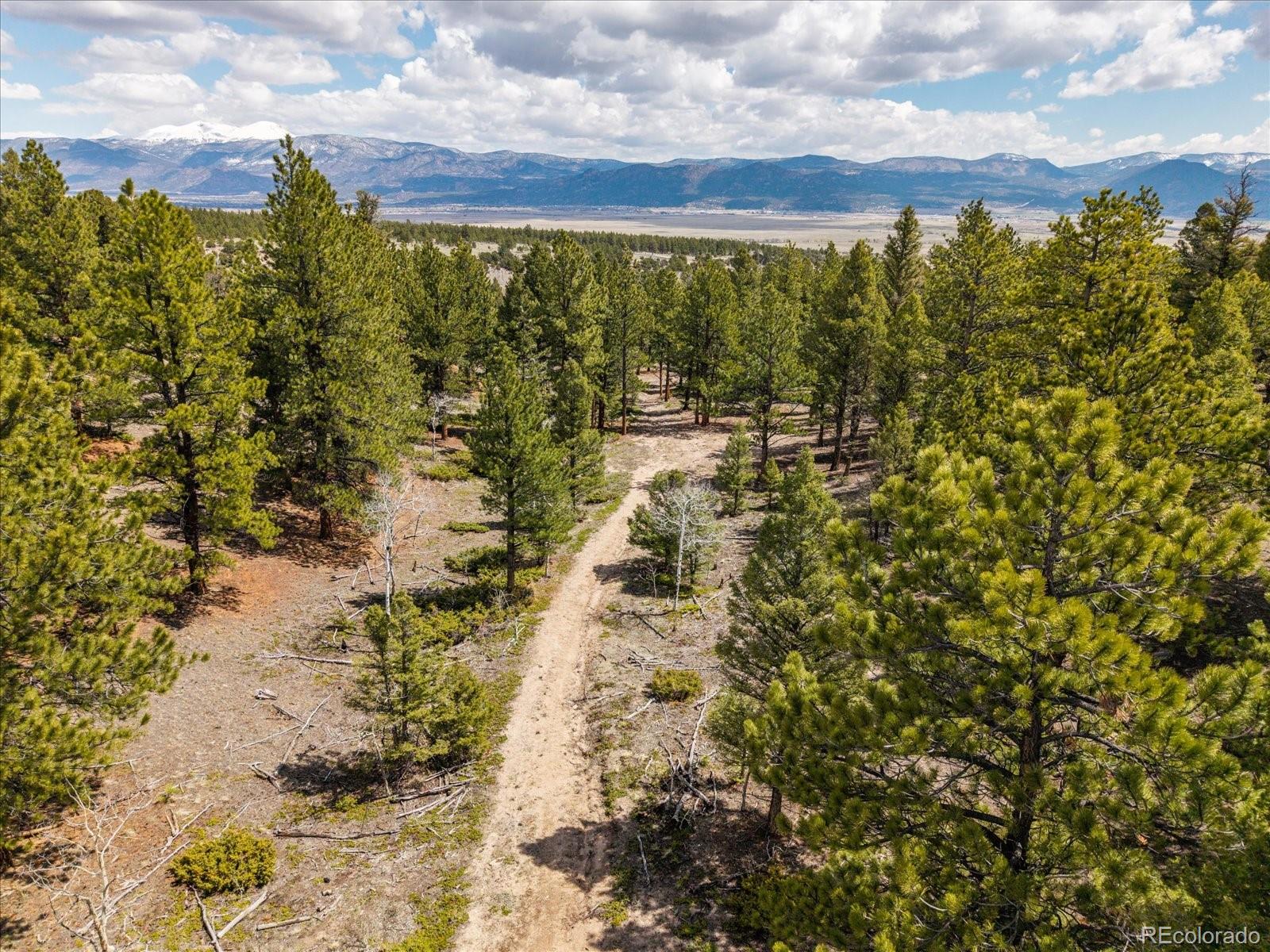 24900 County Road 339 Buena Vista CO 81211