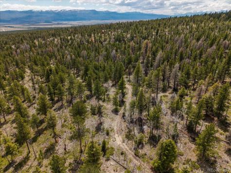 24900 County Road 339 Buena Vista CO 81211