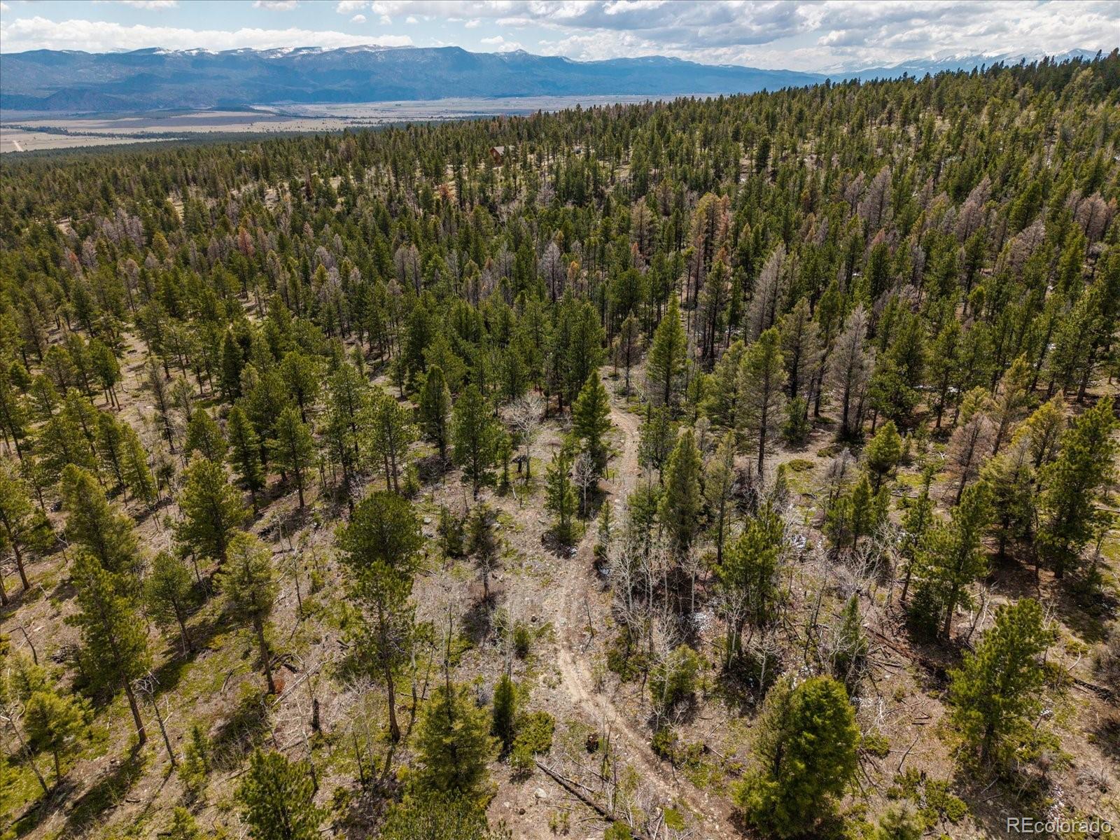24900 County Road 339 Buena Vista CO 81211