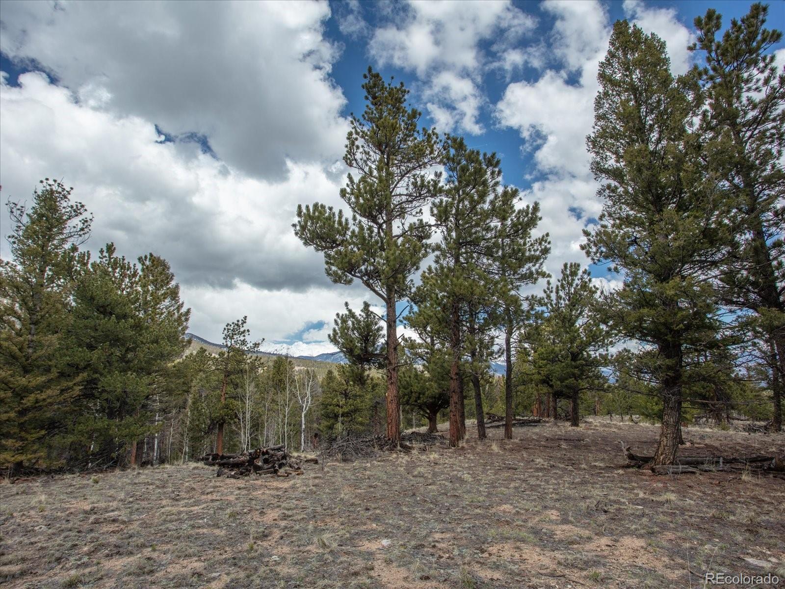 24900 County Road 339 Buena Vista CO 81211