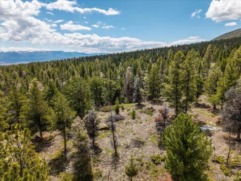 24900 County Road 339 Buena Vista CO 81211