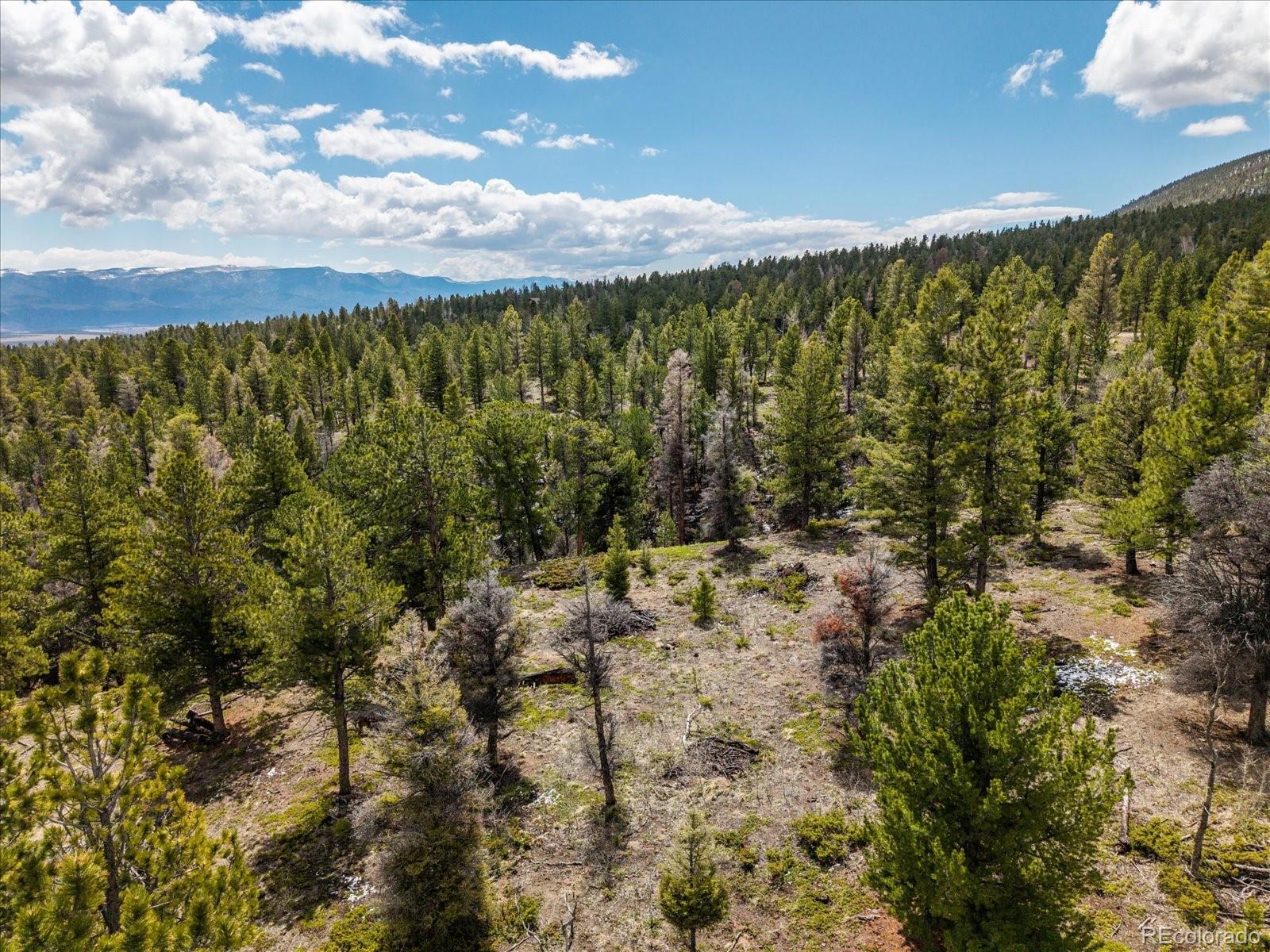 24900 County Road 339 Buena Vista CO 81211