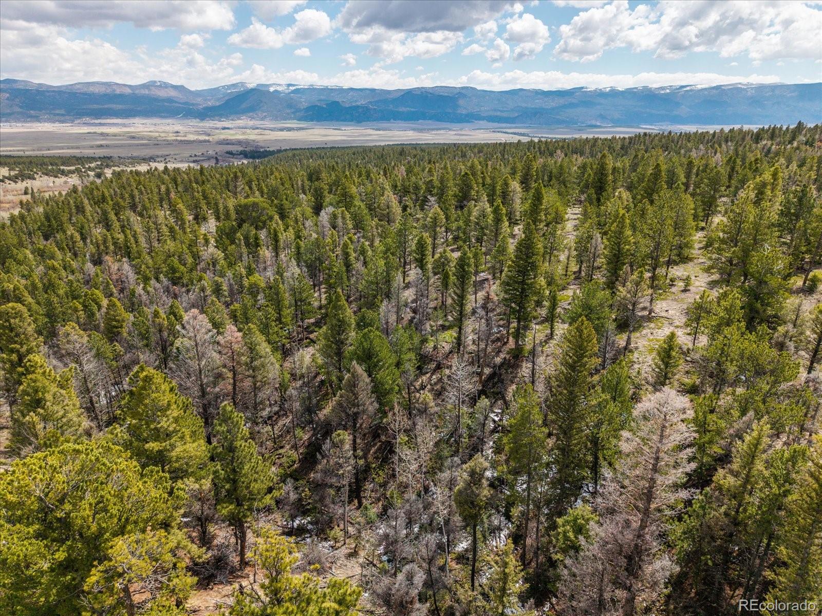 24900 County Road 339 Buena Vista CO 81211