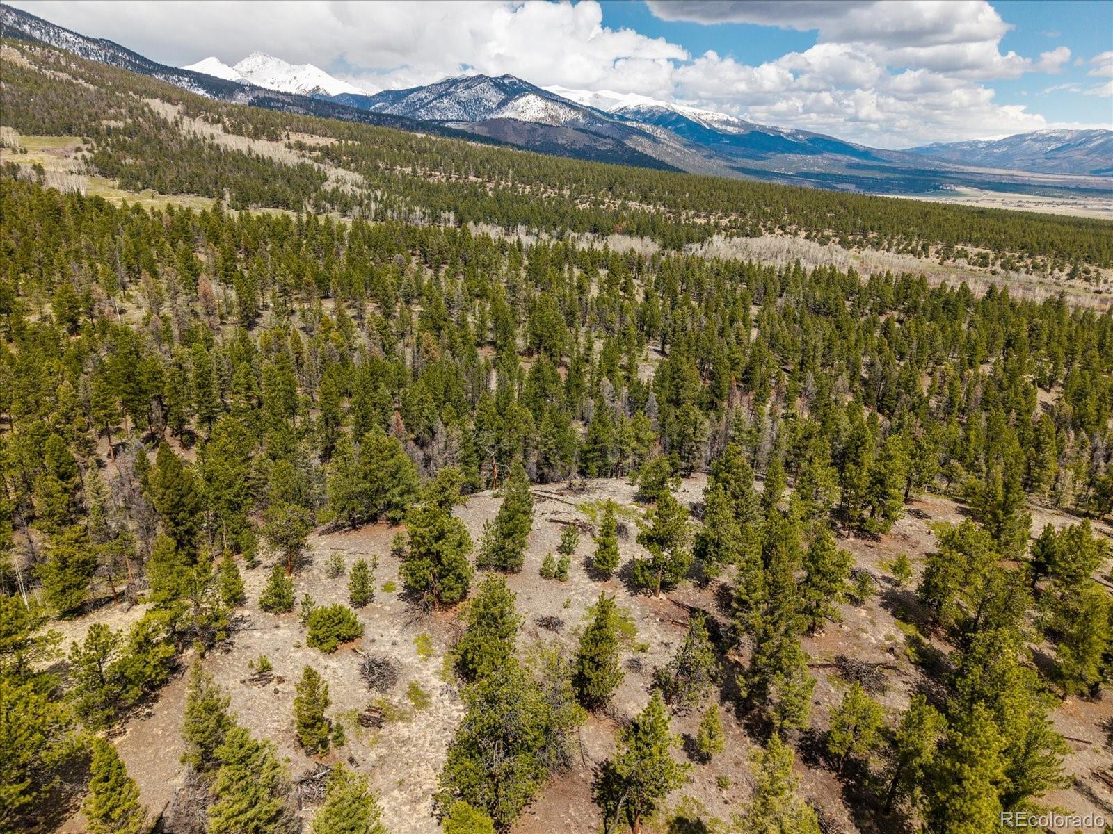 24900 County Road 339 Buena Vista CO 81211
