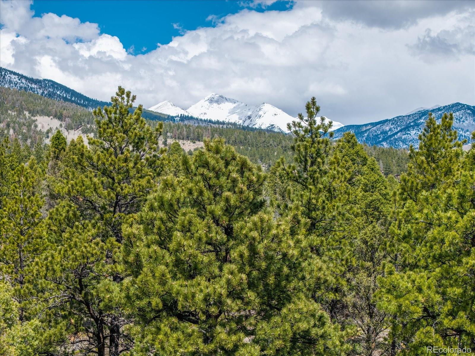 24900 County Road 339 Buena Vista CO 81211