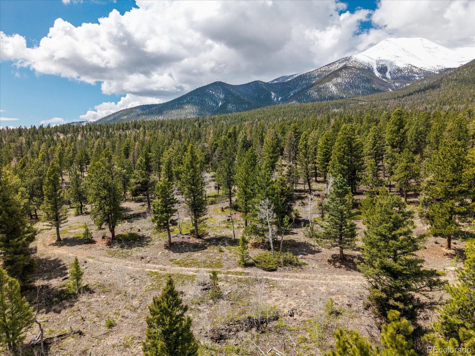 24900 County Road 339 Buena Vista CO 81211