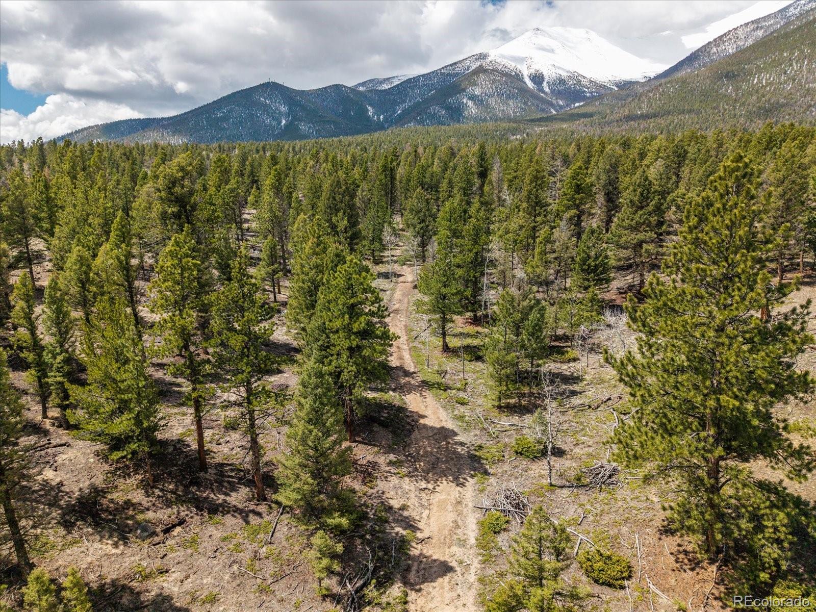 24900 County Road 339 Buena Vista CO 81211