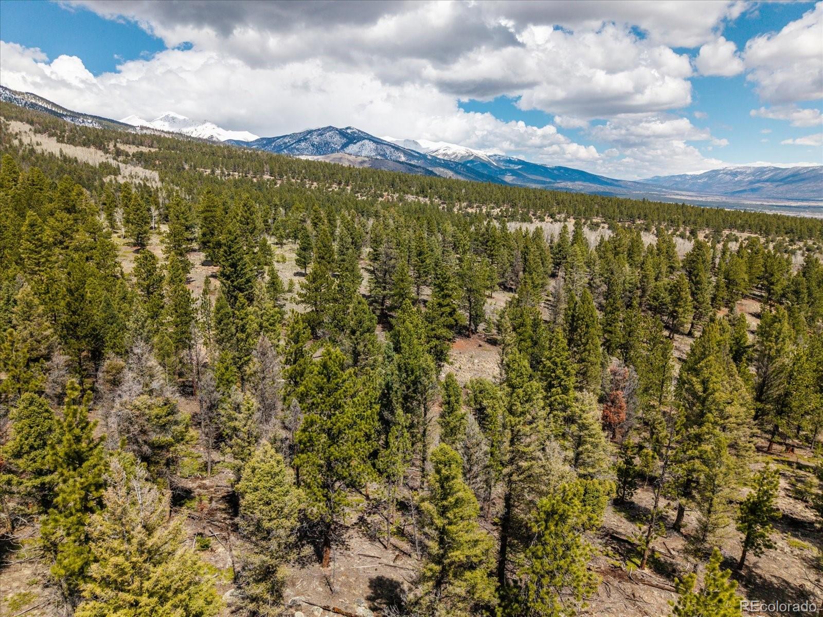24900 County Road 339 Buena Vista CO 81211
