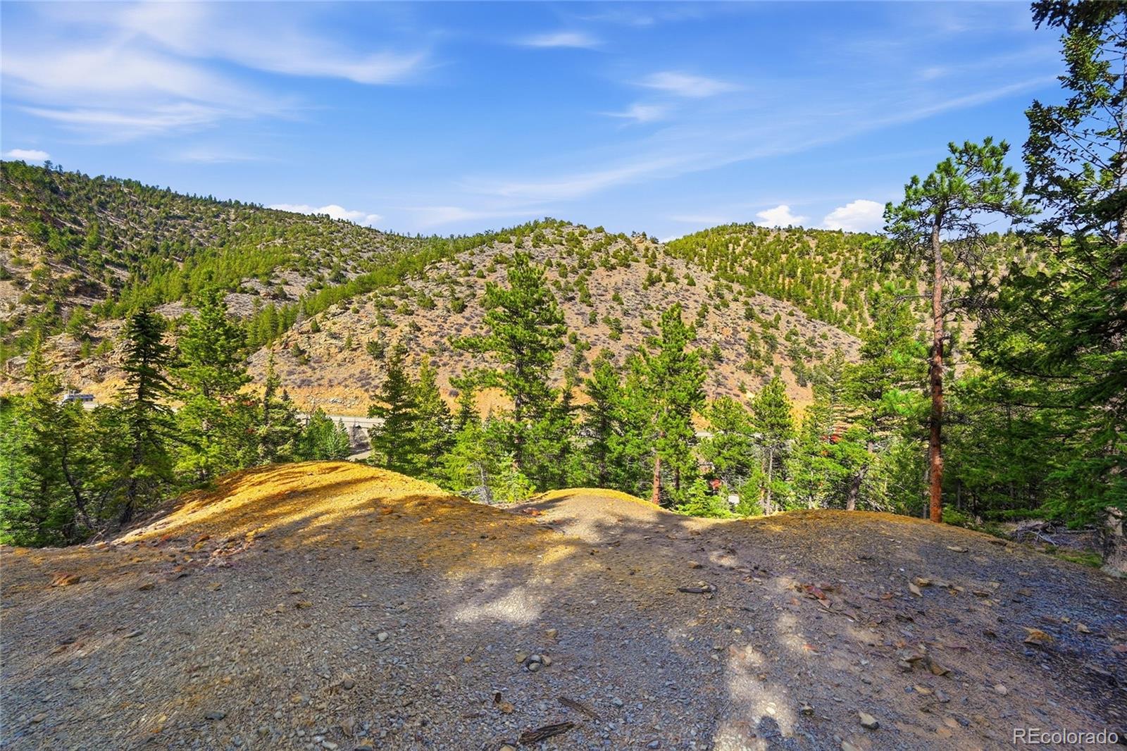 2238 Stanley Road Idaho Springs CO 80452