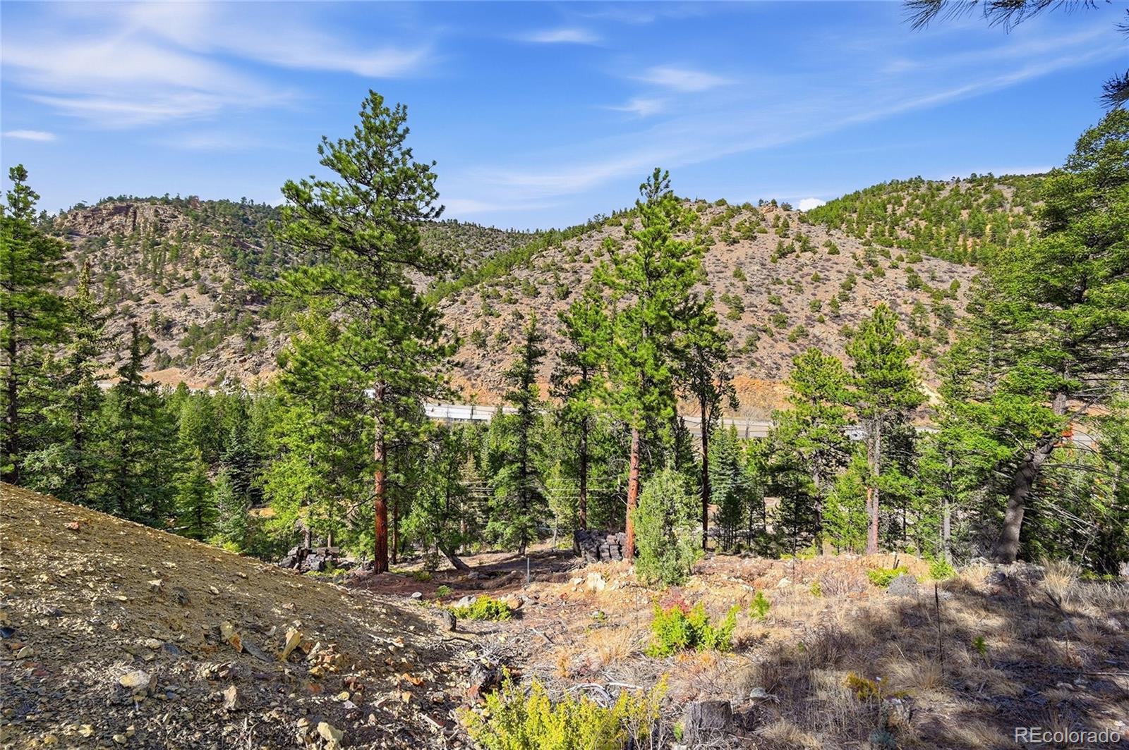 2238 Stanley Road Idaho Springs CO 80452