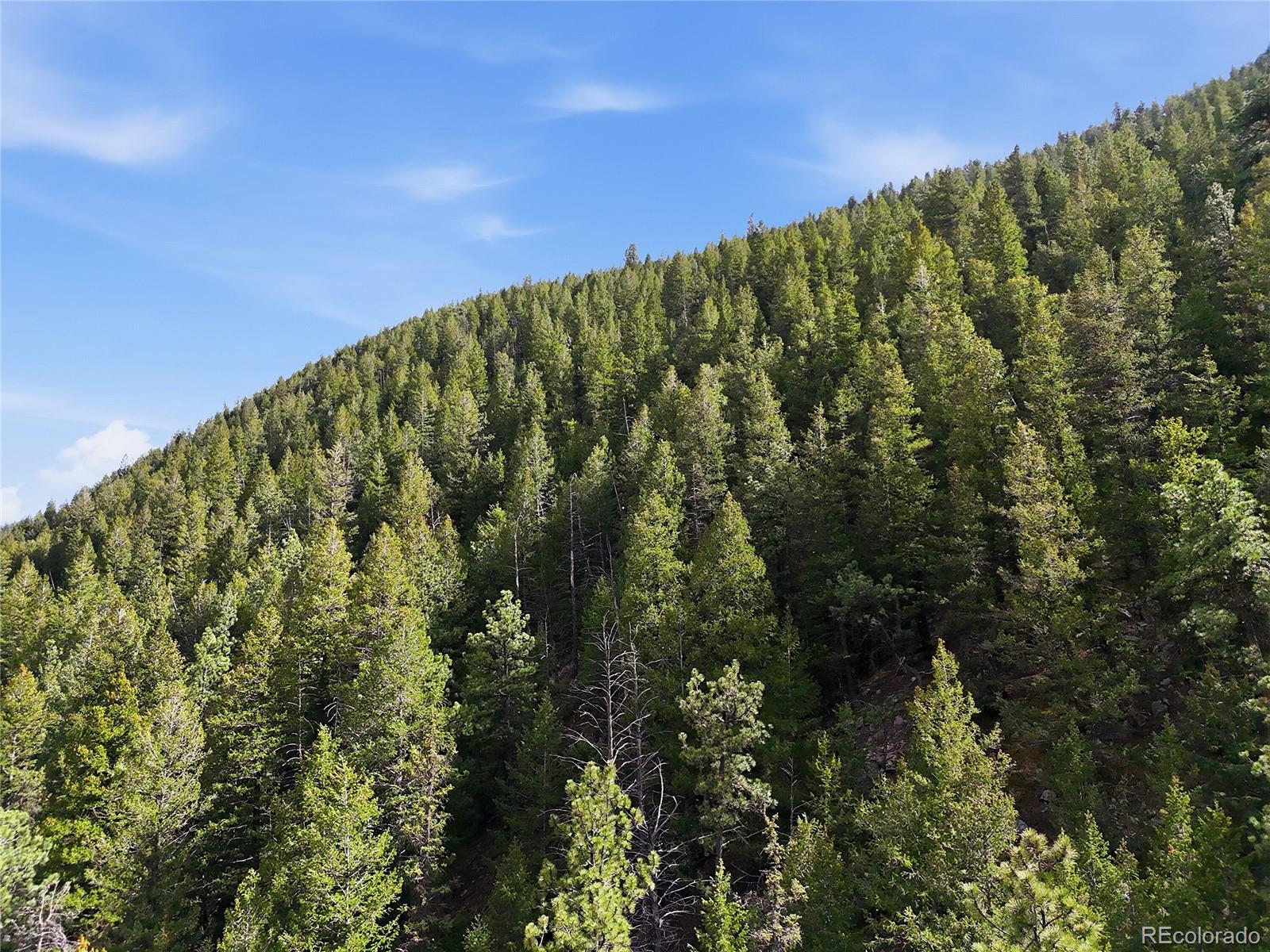 2238 Stanley Road Idaho Springs CO 80452