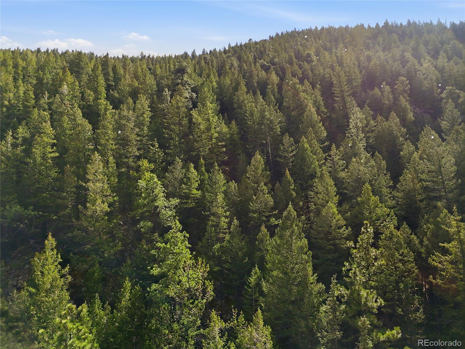 2238 Stanley Road Idaho Springs CO 80452