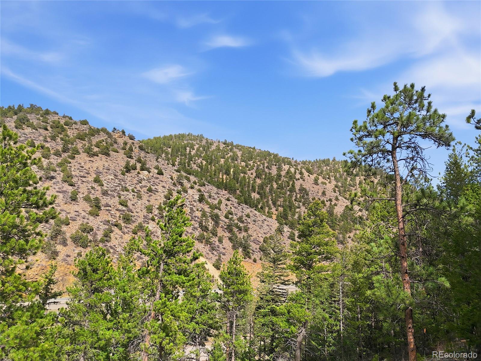 2238 Stanley Road Idaho Springs CO 80452