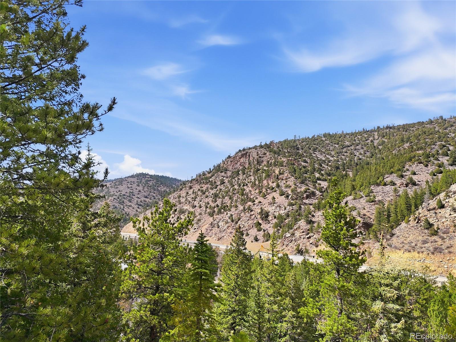 2238 Stanley Road Idaho Springs CO 80452