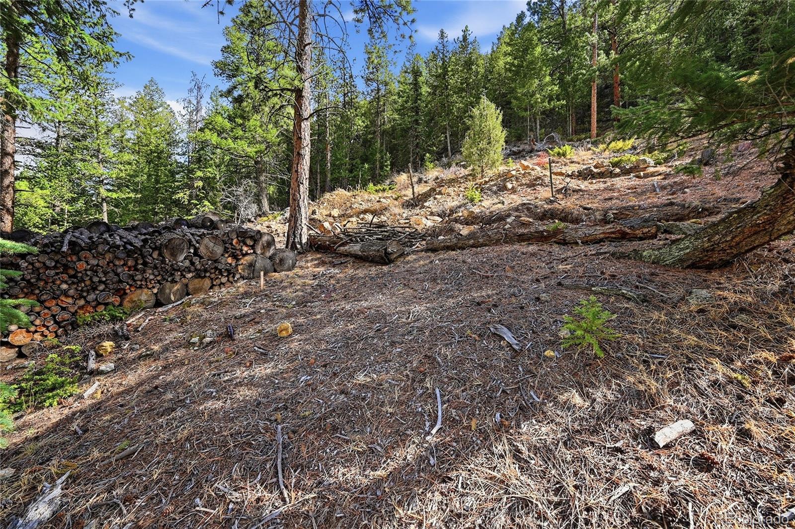 2238 Stanley Road Idaho Springs CO 80452