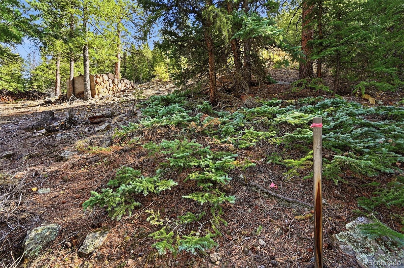 2238 Stanley Road Idaho Springs CO 80452