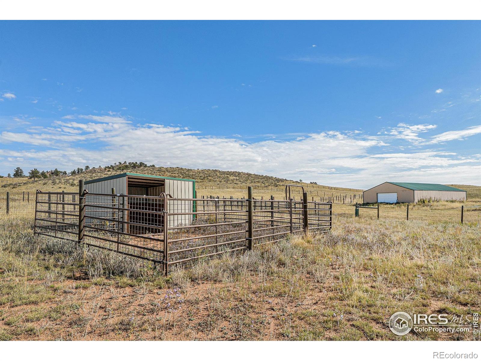 2052 Great Twins Road Livermore CO 80536