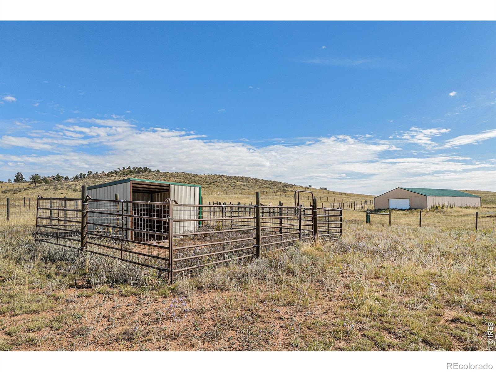 2052 Great Twins Road Livermore CO 80536