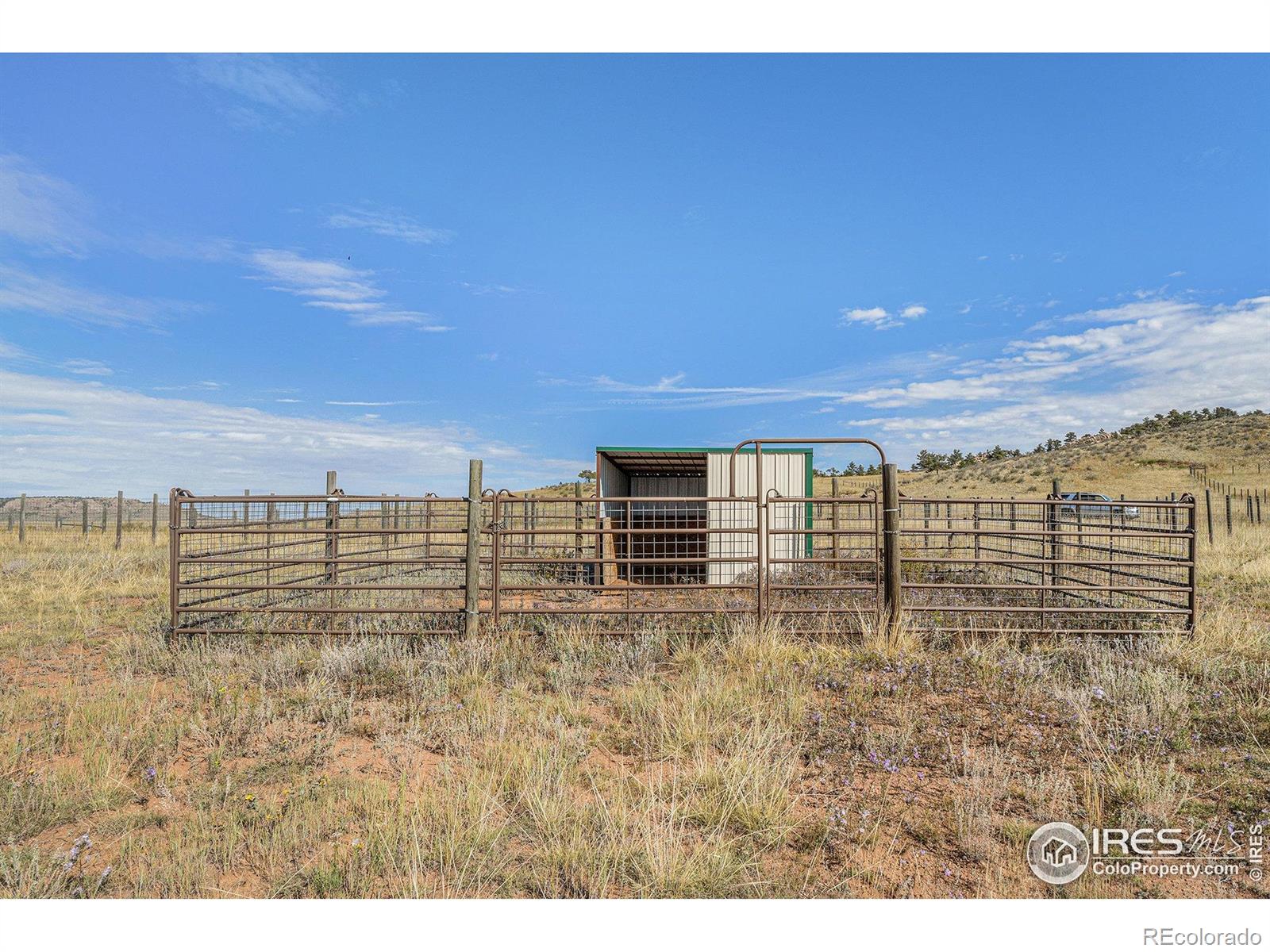 2052 Great Twins Road Livermore CO 80536