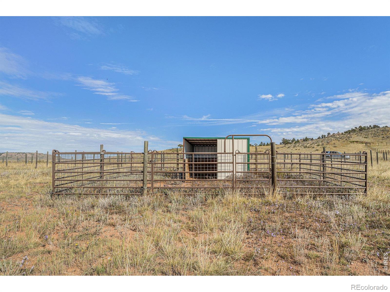 2052 Great Twins Road Livermore CO 80536