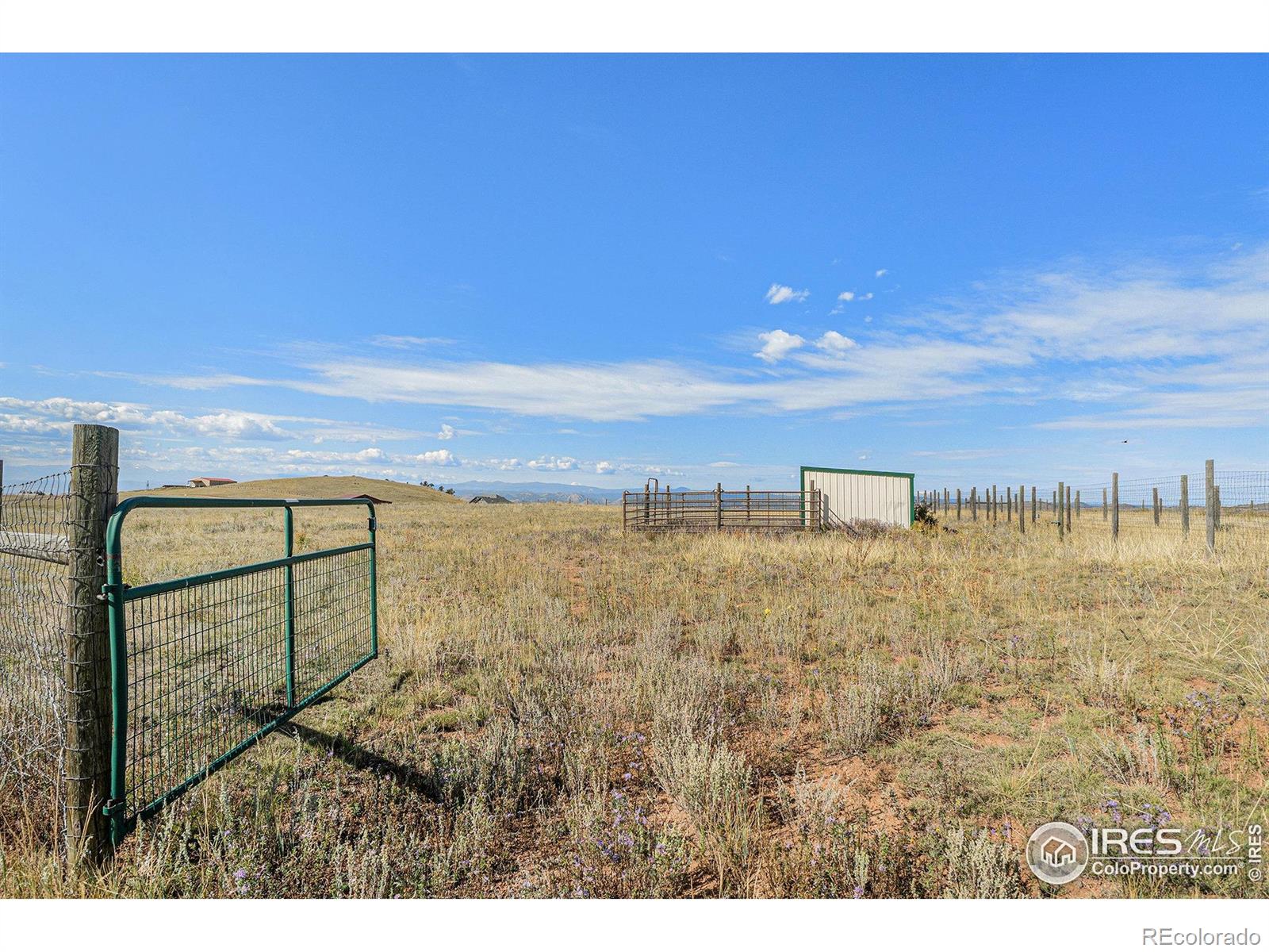 2052 Great Twins Road Livermore CO 80536